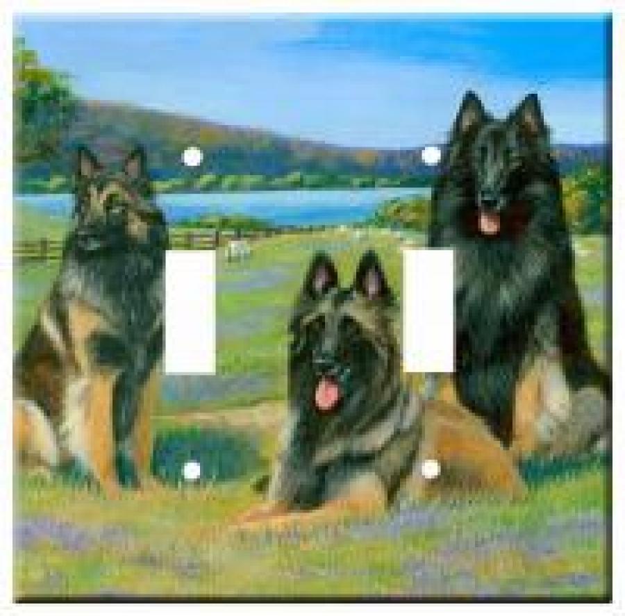Belgian Terv 1B DLSP-P